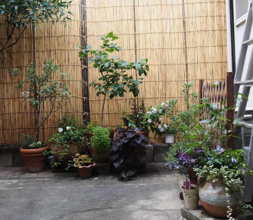 Guesthouse Usagi-Momiji Kyoto Ngoại thất bức ảnh