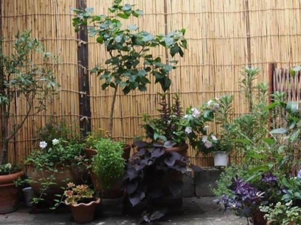 Guesthouse Usagi-Momiji Kyoto Ngoại thất bức ảnh